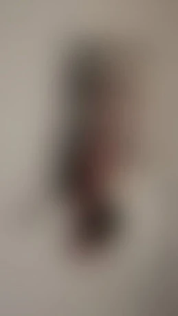 Lady Julia — 1 / 8