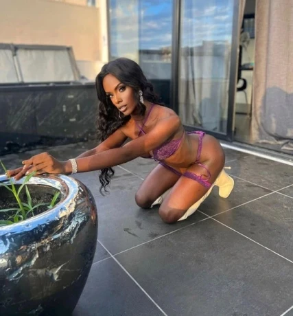 Ts Onika D Latoya1 — 8 / 17