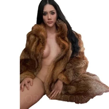 TS GiGi  Aktiv + Passiv — 2 / 7