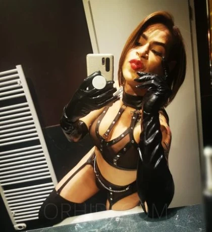 TS Michelle — 8 / 12