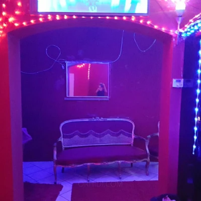 3535, Escort, Vienna