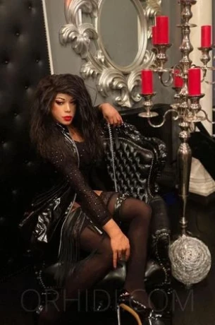 Brandneu TS Mistress Donatella — 13 / 18