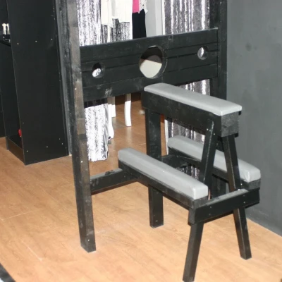 6561, Escort, Vienna