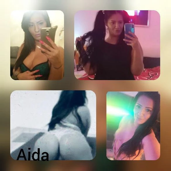 Aida31 — 7 / 12