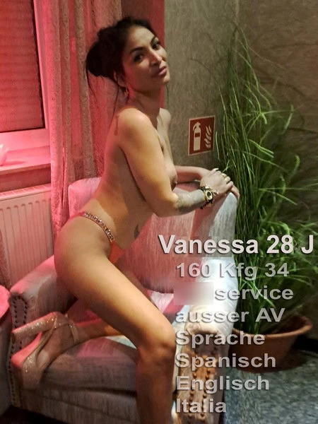 Nachtfalter Vanessa 28 J. — 10 / 11