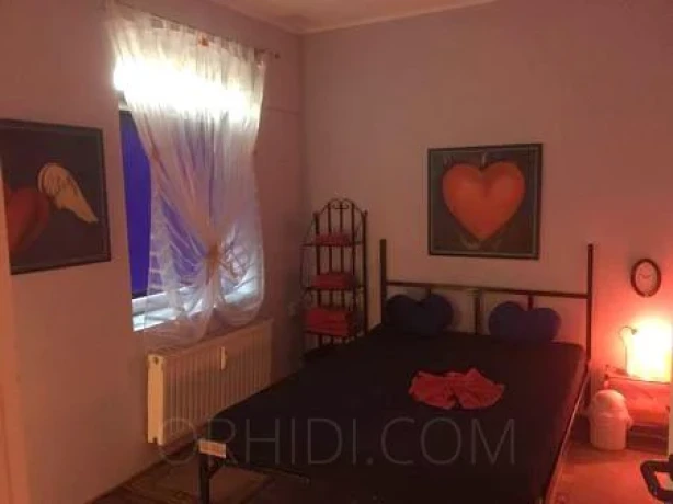 Hotcats Club — 16 / 17