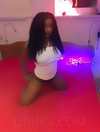 BERKIS DE KUBA — 2 / 6