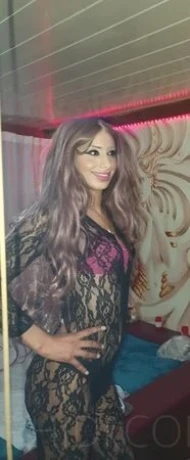 Trans Petra - ganz neu! — 10 / 11