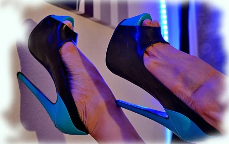 Dahlia Aus Brasilien — 6 / 17