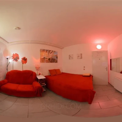 6582, Escort, Vienna