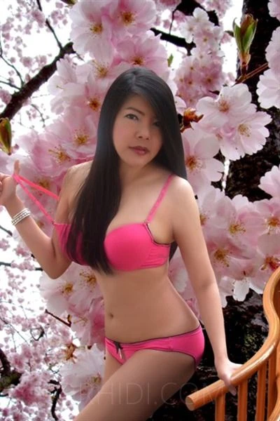 Wasabi Stark behaart!, Escort, Chemnitz