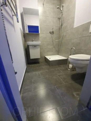 Royal Eros — 1 / 9