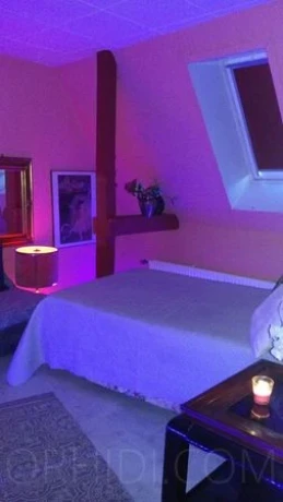 Haus Exotica — 5 / 13