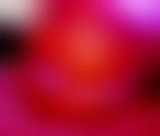 Natascha Apartmenthaus Erotic Island — 2 / 6