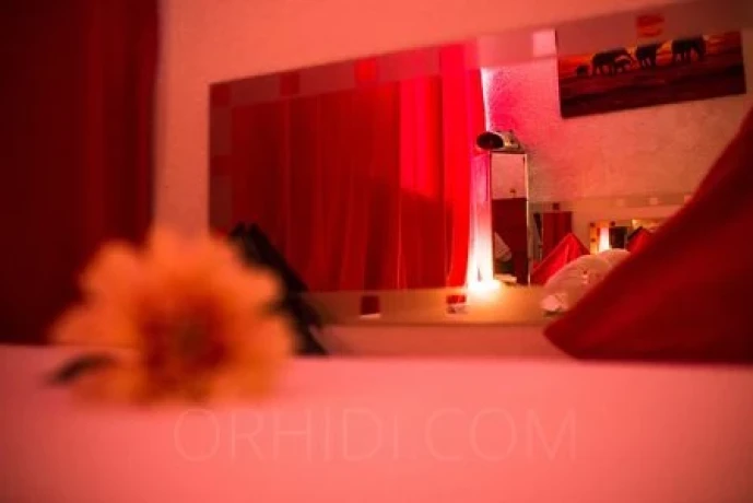 Glamour-Massage-Frankfurt — 12 / 20