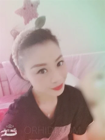 Lulu — 1 / 4