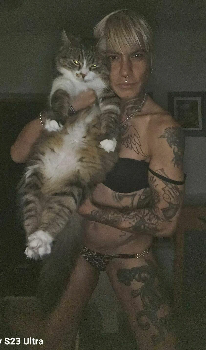 Nilliy — 3 / 6