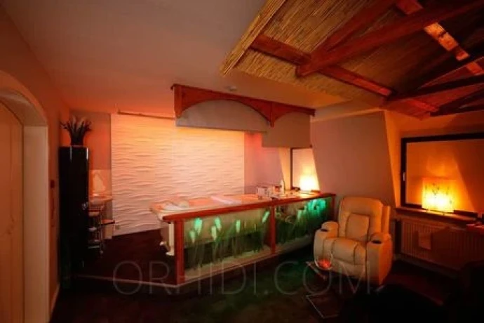 Das kleine Massagenest - NUR MASSAGEN — 16 / 18