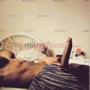 Jorge, Escort, Amsterdam