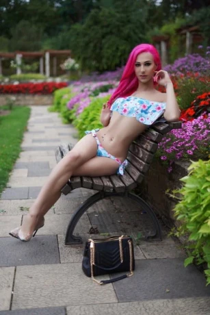 Trans Lexa Klimatisiert — 6 / 14