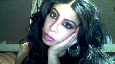 TS Gabriella Italo-Latina — 3 / 13