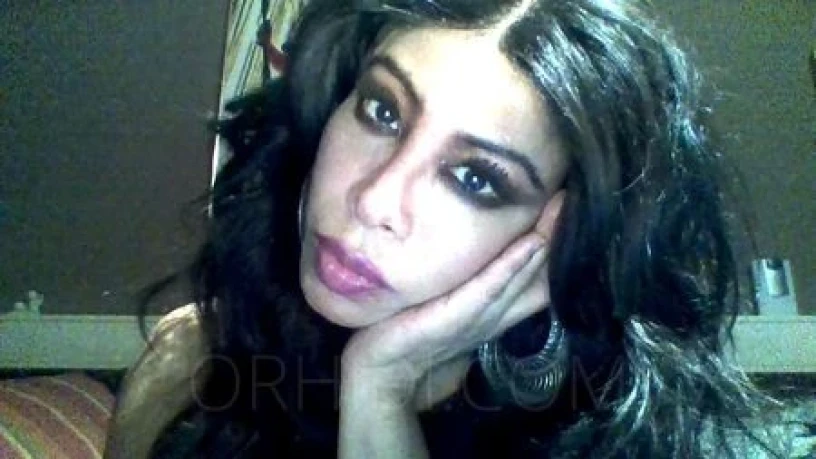 TS Gabriella Italo-Latina — 3 / 13