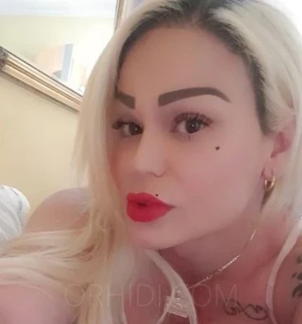 Trans Lorens Star — 5 / 18