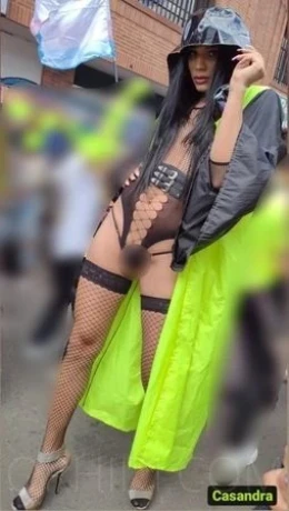 TS Casandraella — 15 / 24