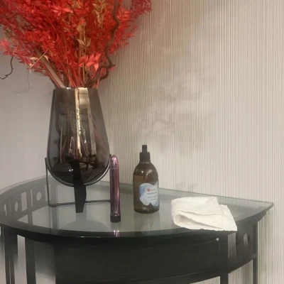 Monica Tabaris, Escort, Antwerpen