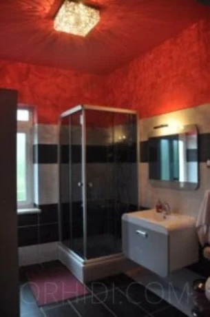 Petite Fleur - Erotik Club — 6 / 9