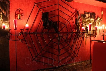 Lady Svenja — 5 / 6