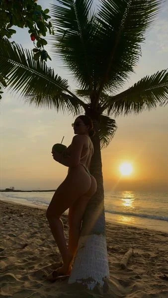 Call girls Aruba escorts :, Escort, Palm Beach