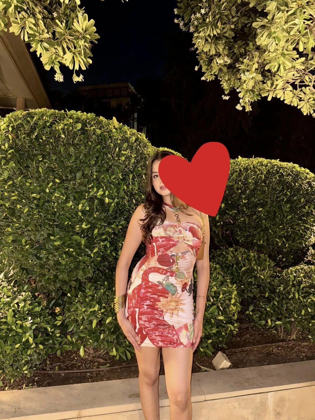 Neha – Indian escort in Gurgaon — 3 / 5