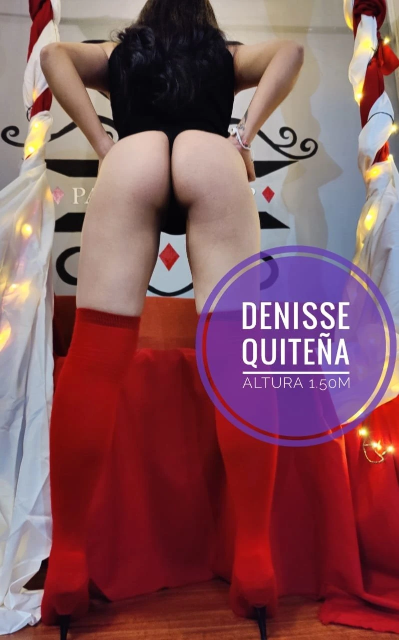Denisse – Ecuadorean escort in Quito — 3 / 5