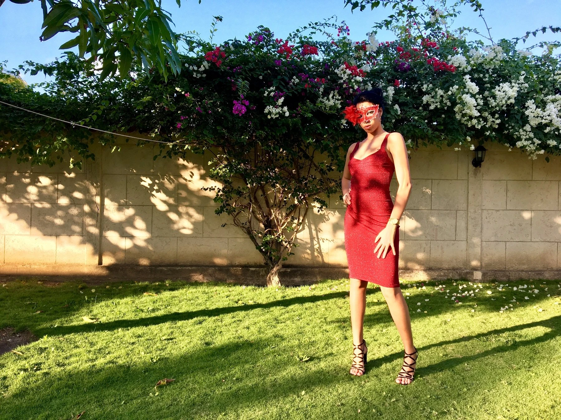 Isabela – Cuban escort in Havana — 2 / 8