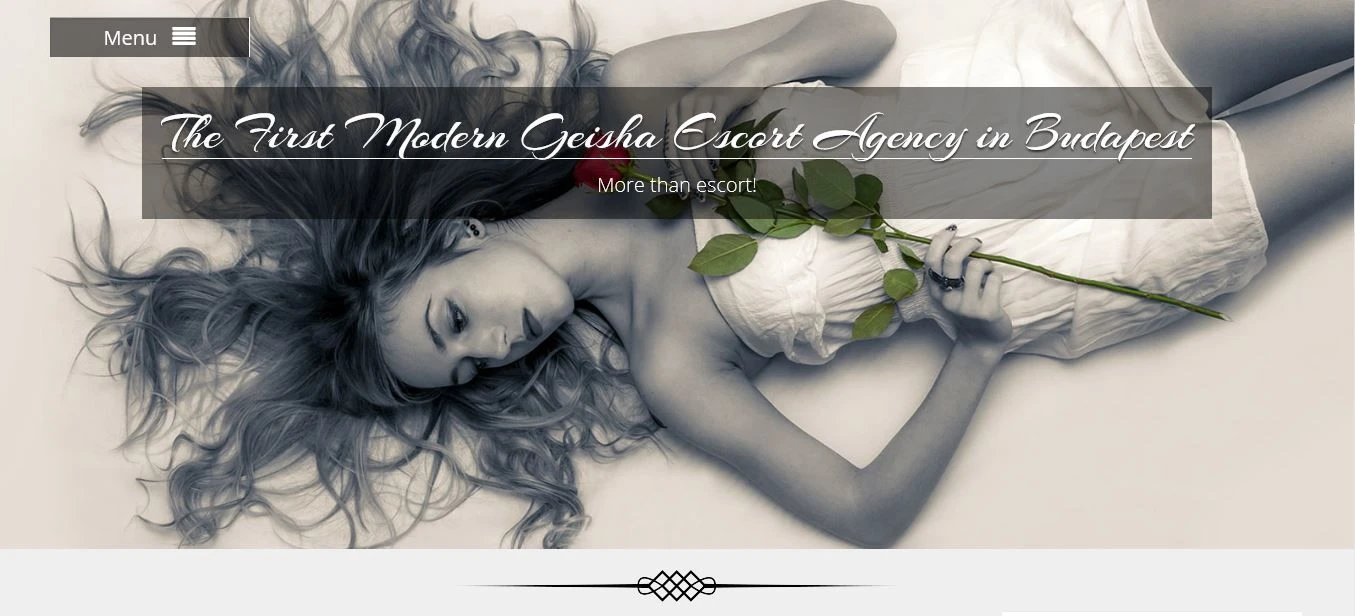 Hungarian Geisha Agency – escort agency in Budapest — 1 / 2