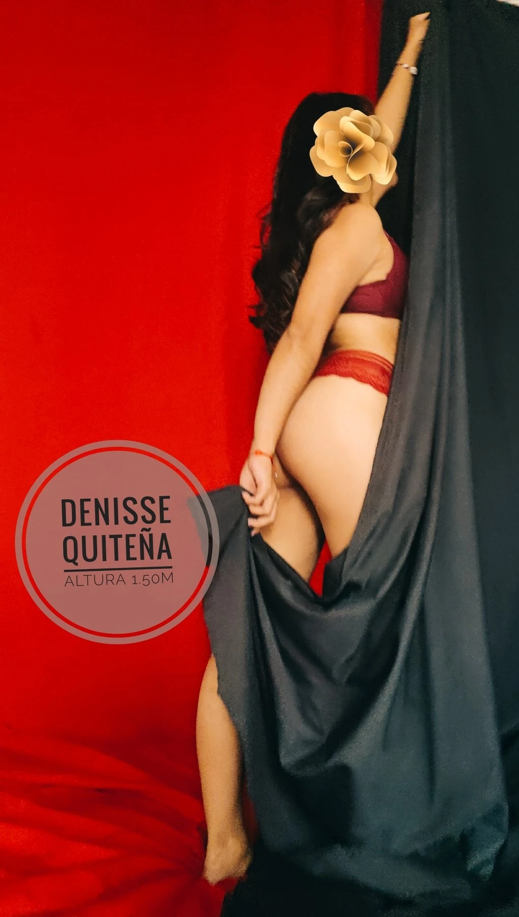 Denisse – Ecuadorean escort in Quito, Escort, Quito