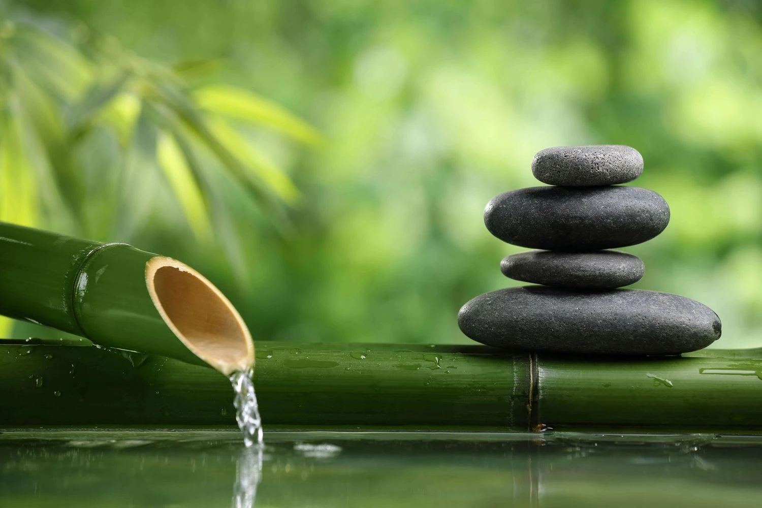 Imperial Spa Body Massage Bangalore – masseuse in Bangalore, Escort, Banga