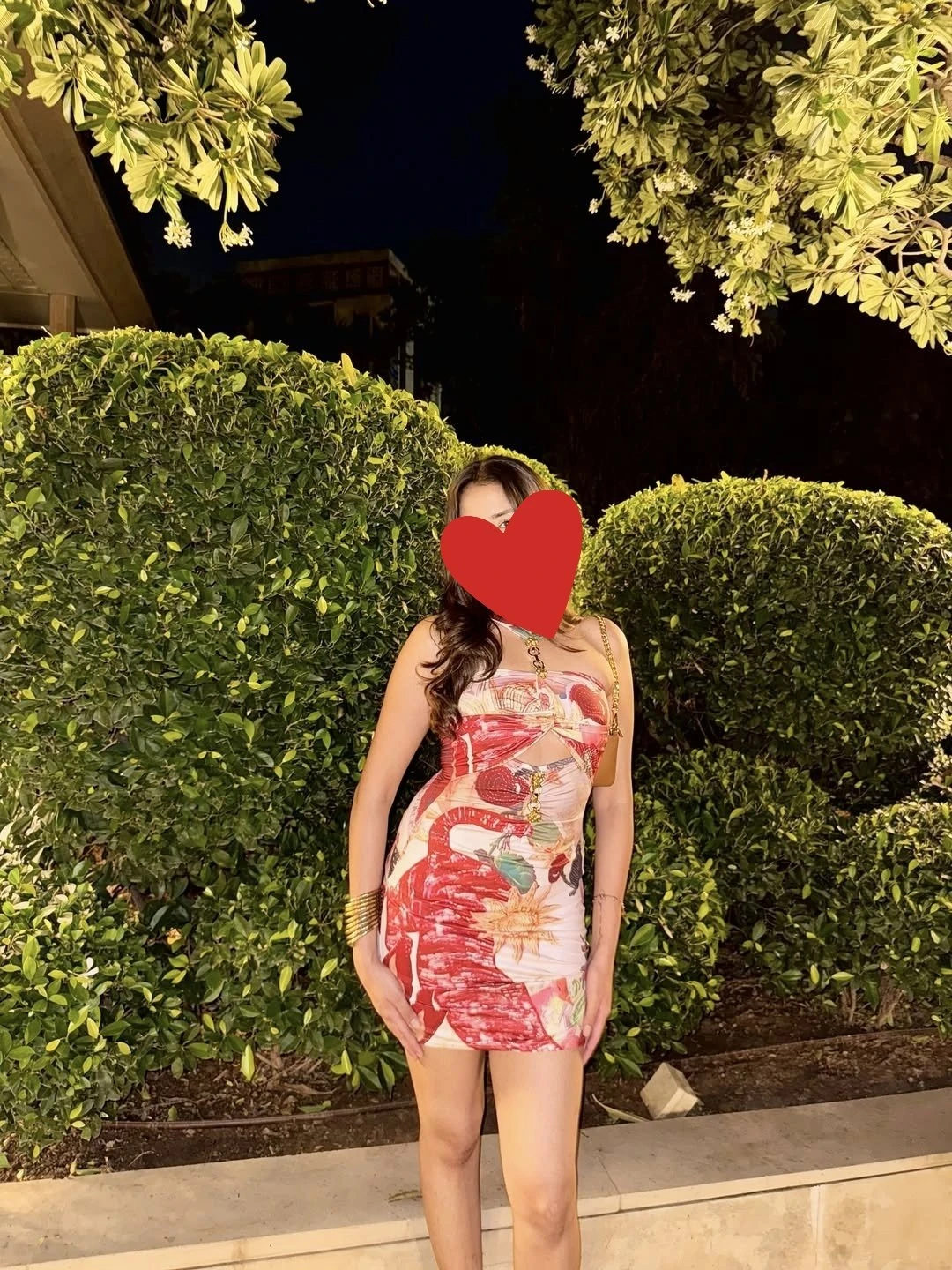 Neha – Indian escort in Gurgaon — 4 / 5