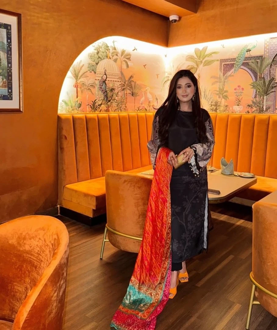Meena – Indian escort in Chandigarh — 3 / 4
