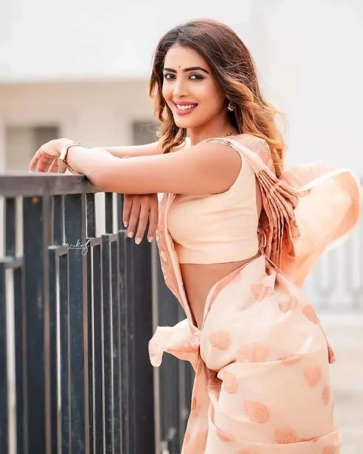 Indian Models in Five Star Hotels – Indian escort in Hyderabad — 4 / 5