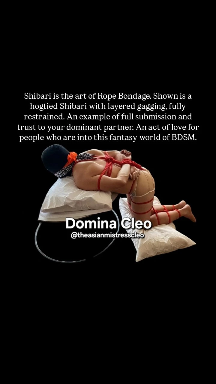 Domina Cleo,The Real ProDomme Dominatrix – Filipino dominatrix in Da Nang — 20 / 26
