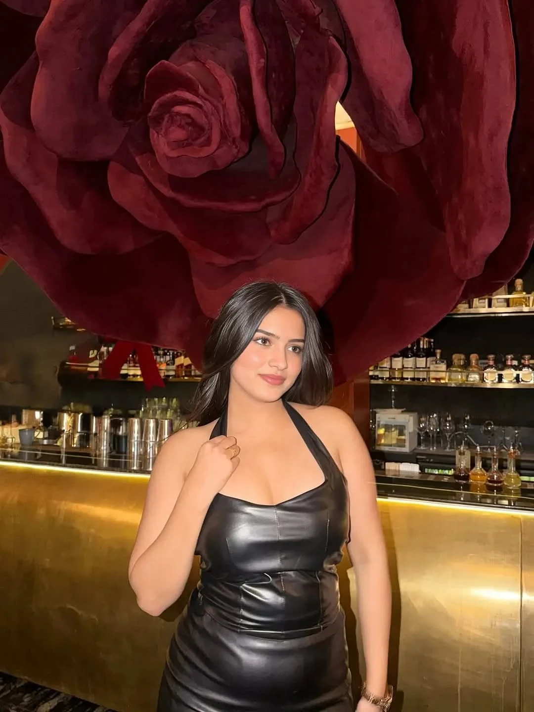 Shefali – Indian escort in Udaipur, Escort, Udaipur
