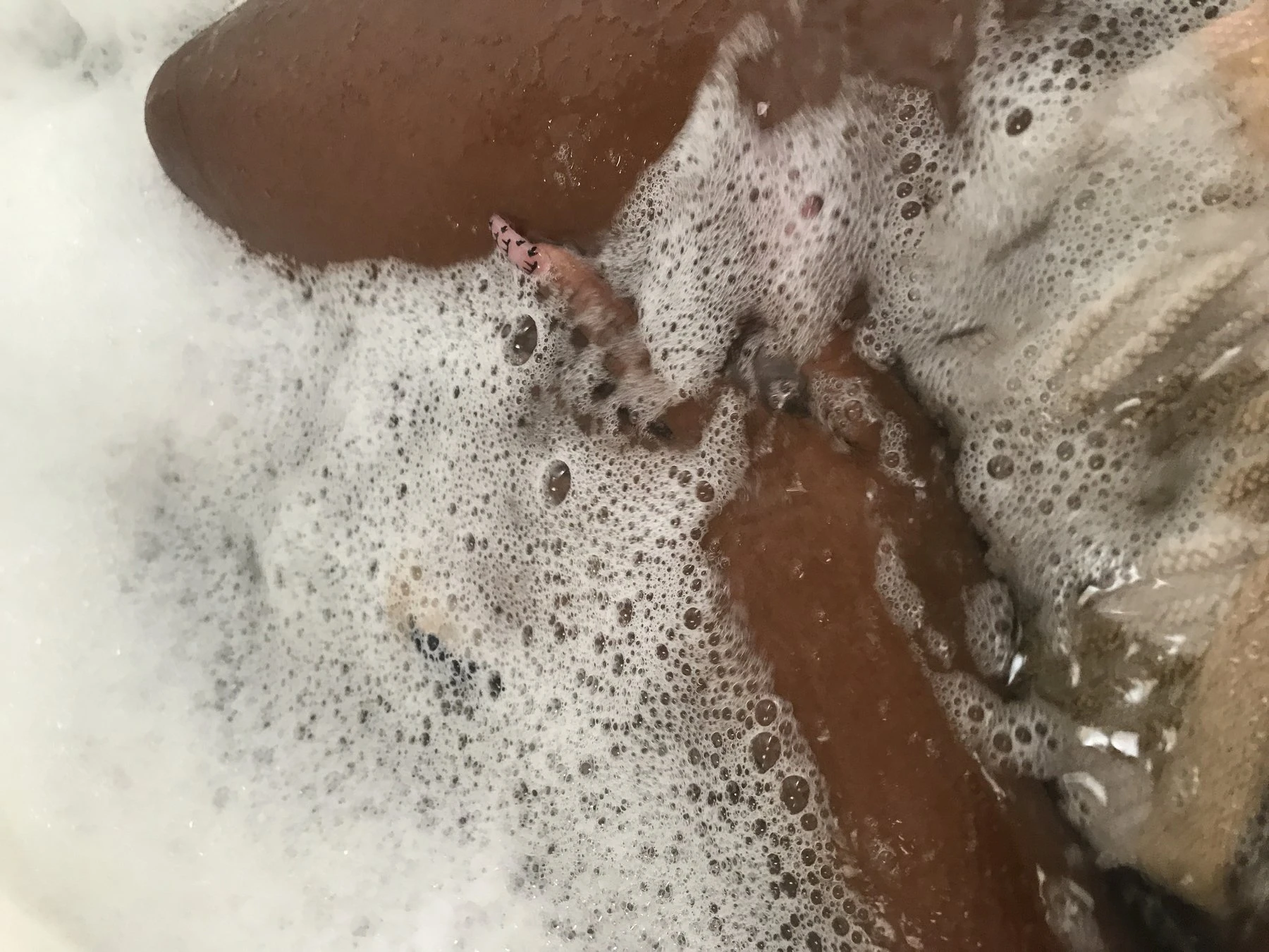 Dream – escort in Florida — 2 / 9