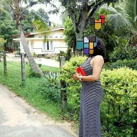 Shama – Sri Lankan escort in Colombo, Escort, Colombo