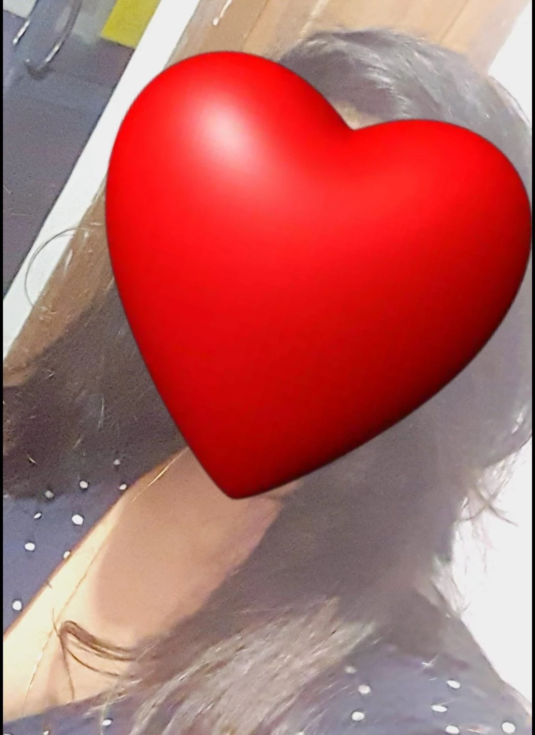 Rashel – Sri Lankan escort in Colombo — 4 / 5