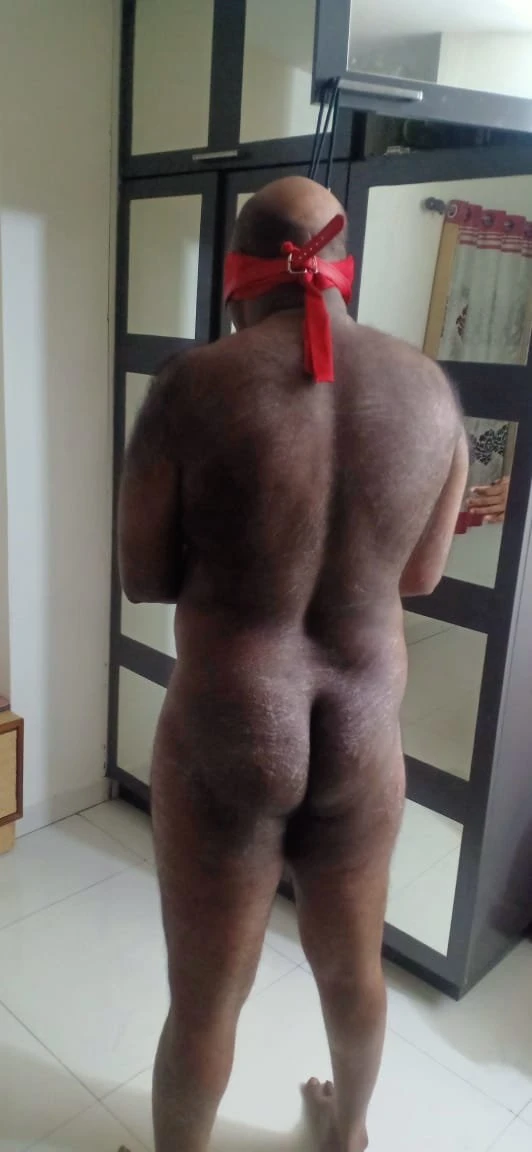 New Arrival, Brenda – South African escort in Kathmandu — 5 / 6