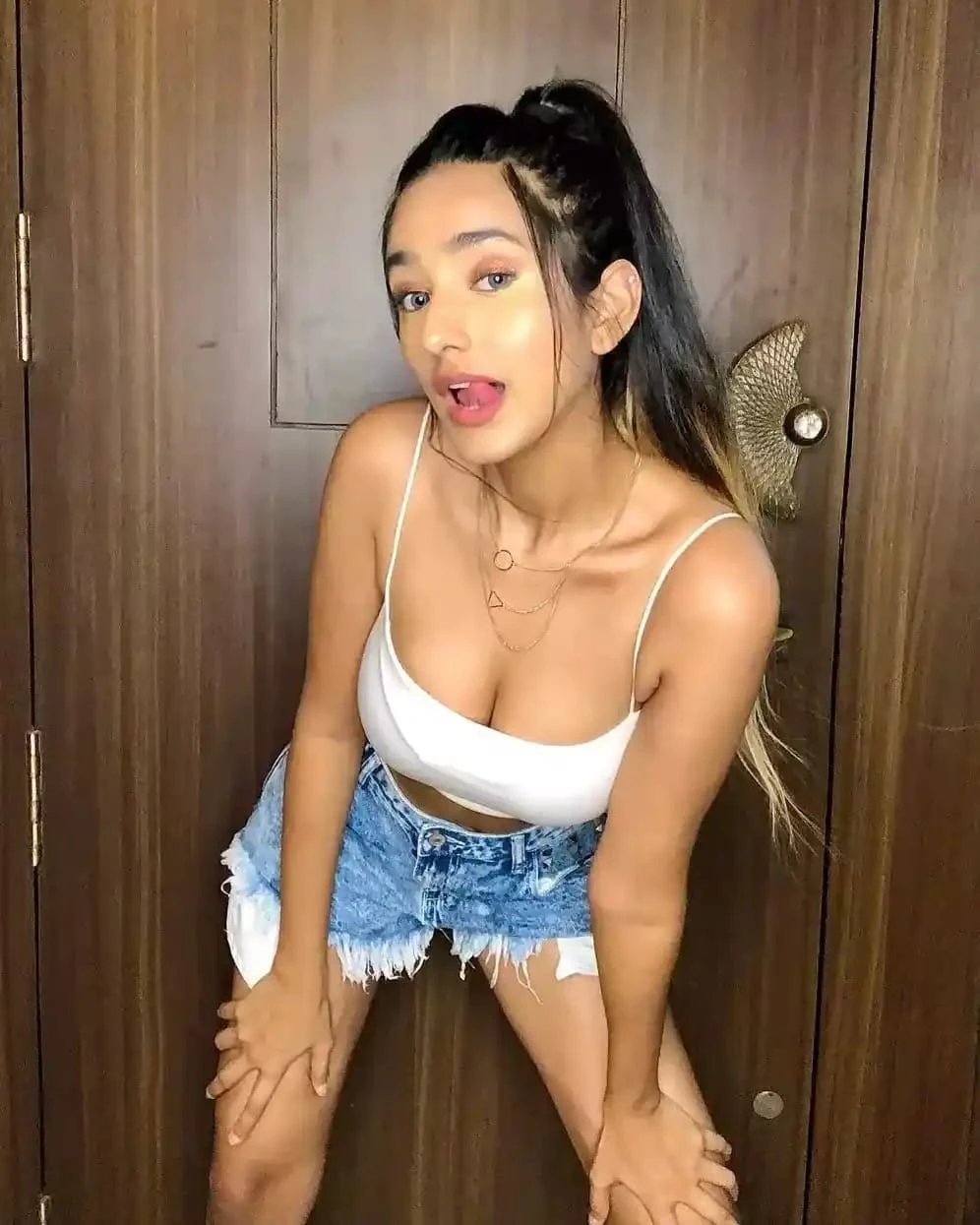 NISHA RATHORE ESCORTS SERVICES UDAIPUR – Indian escort in Udaipur — 3 / 6