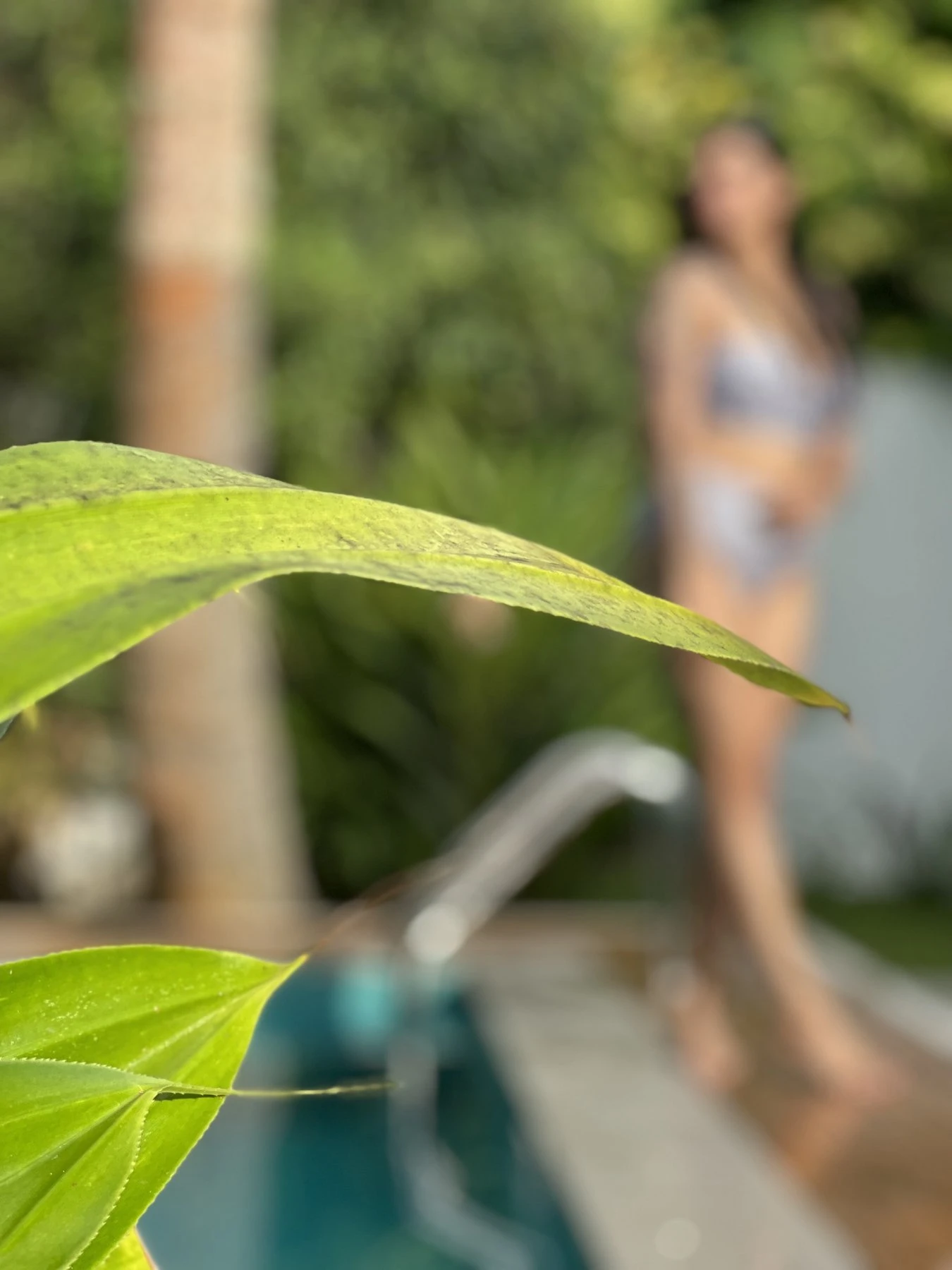 Rochelle Queen (Cam Only) – Sri Lankan escort in Colombo — 6 / 9