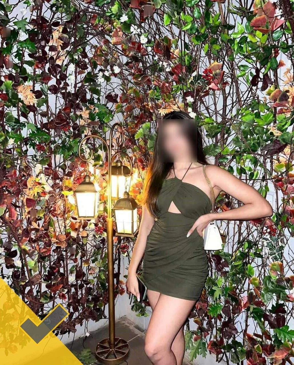 VIP Escorts in Delhi Five Star Hotels – Indian escort in New Delhi — 2 / 5
